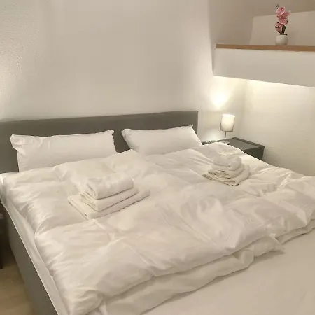 Direkt Am Rhein In 公寓 *