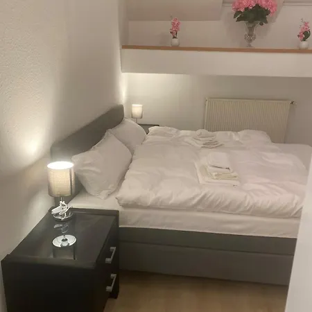 Lägenhet Direkt Am Rhein In