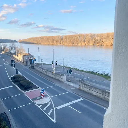 Lägenhet Direkt Am Rhein In