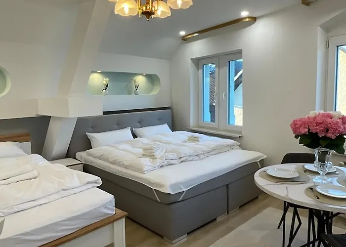 Direkt Am Rhein In * 尼尔斯泰恩