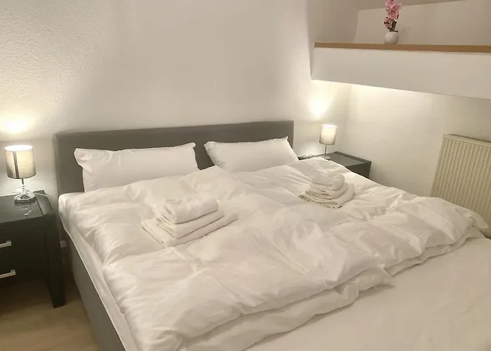 Direkt Am Rhein In 公寓 *