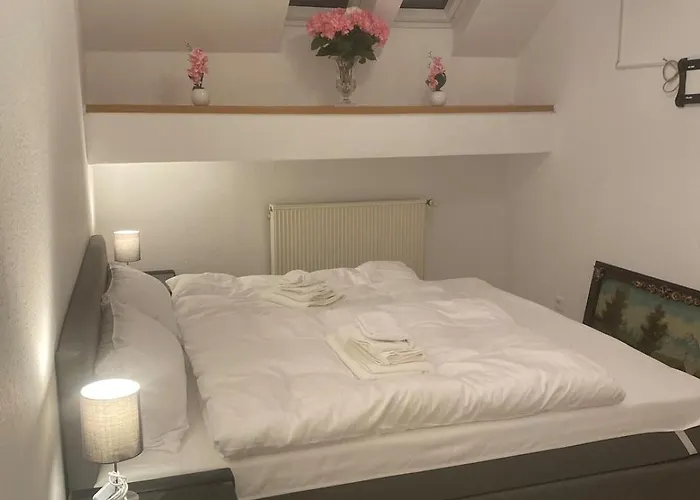 Direkt Am Rhein In * 尼尔斯泰恩